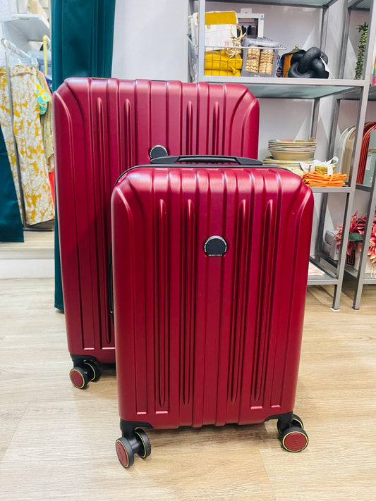 Delsey-2PC Luggage Set