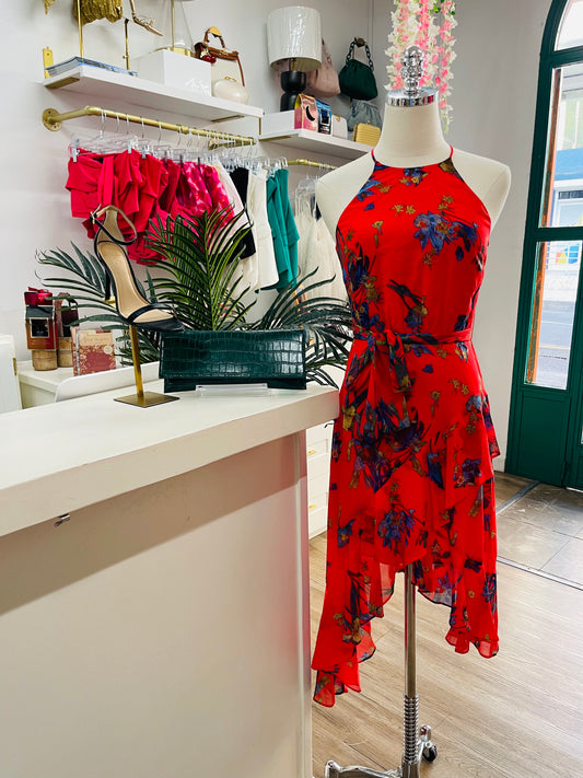 Cece Havana Dress