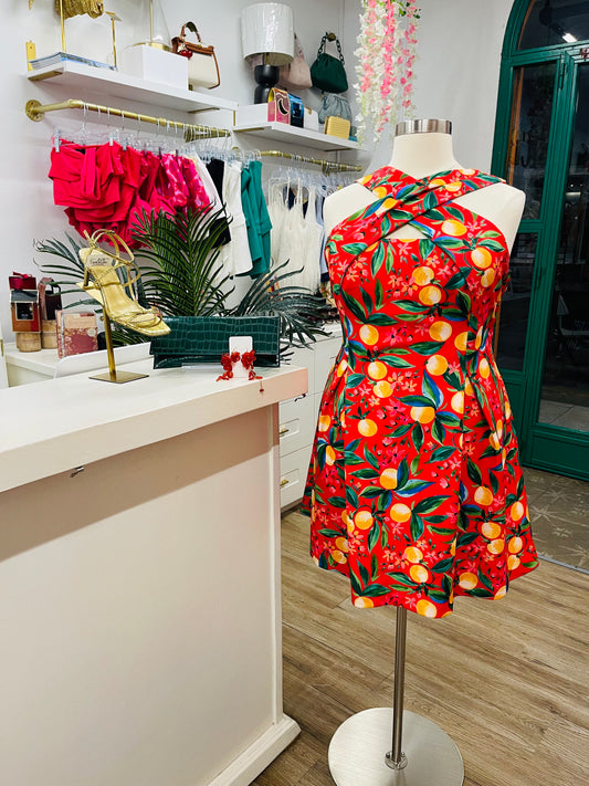 VC Plus Cathy Dress